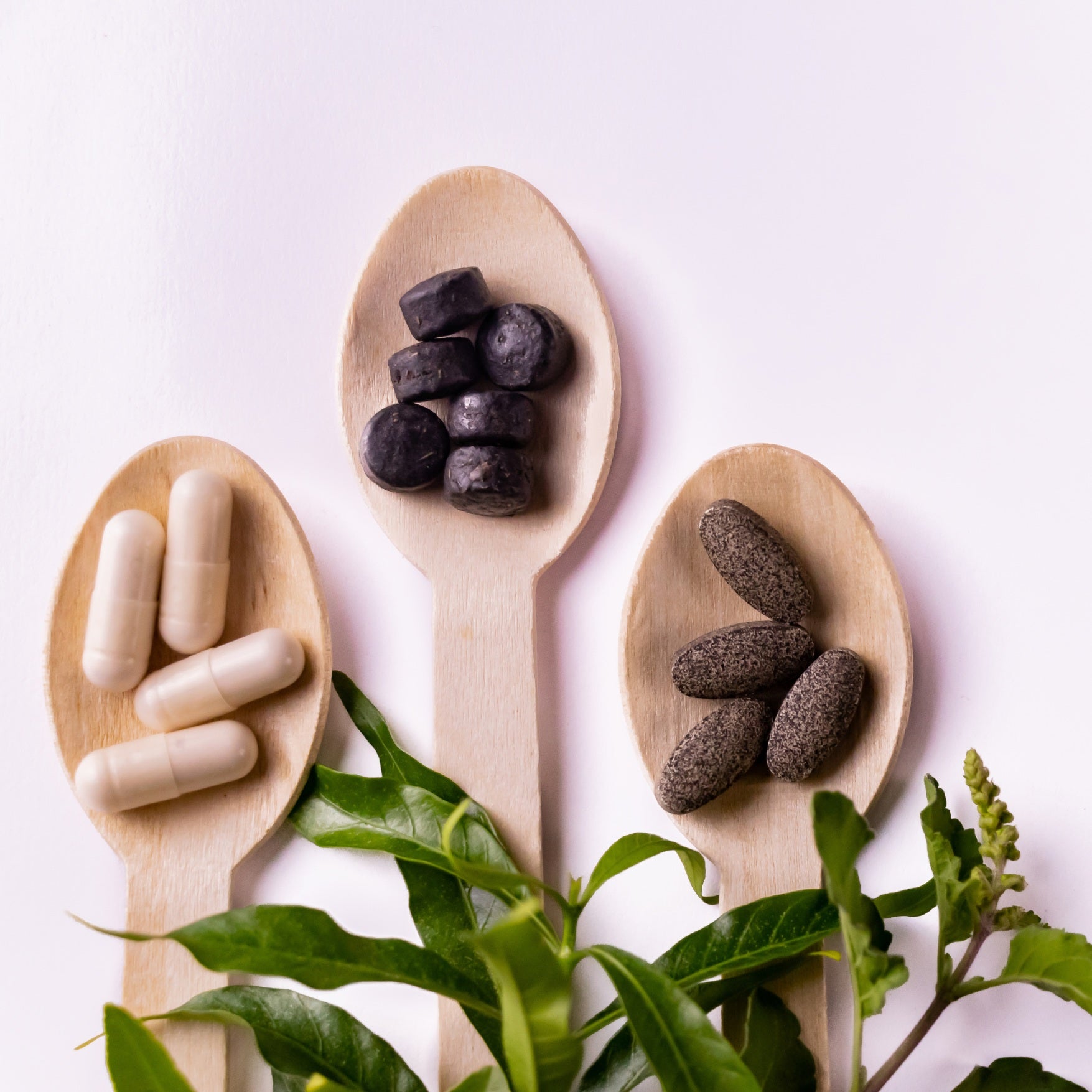 Ashwagandha: The Miracle Herb for Modern Health and Wellness