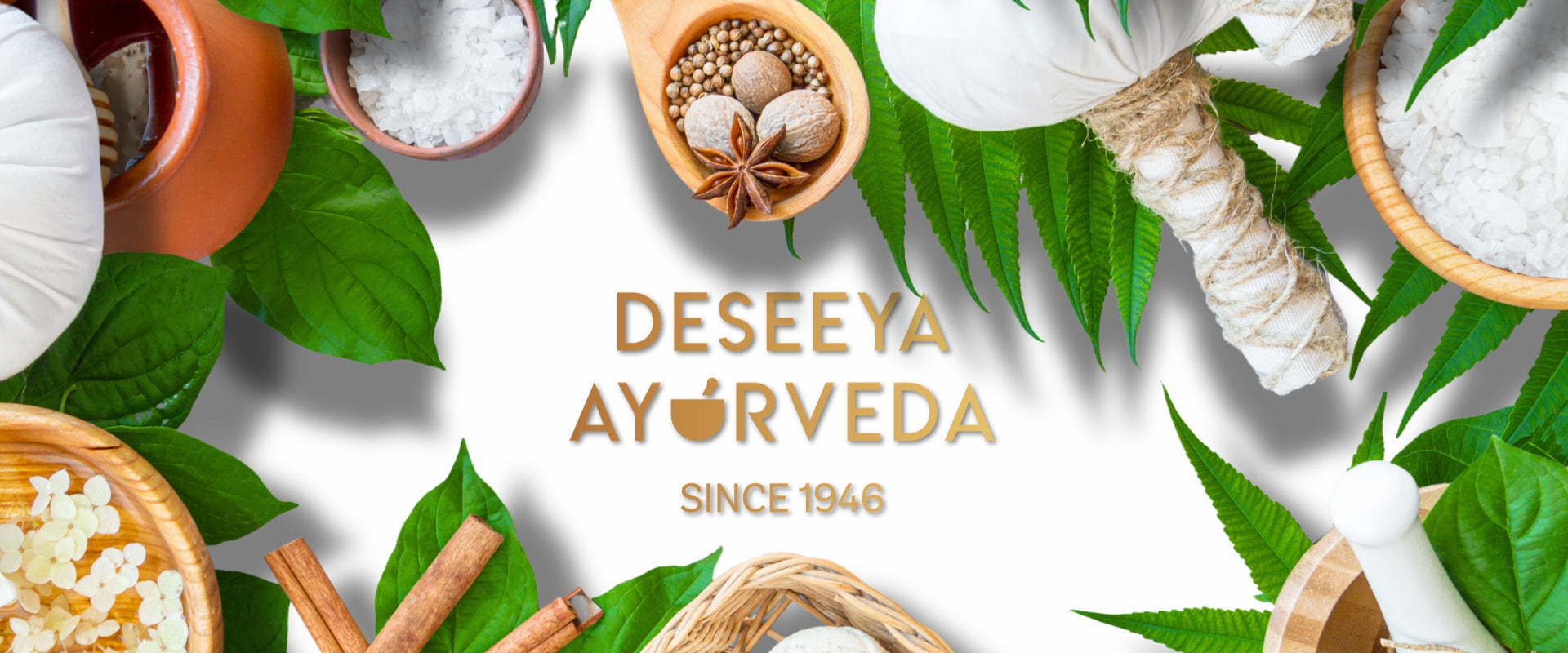 What 75 Years of Ayurveda Experience Have Taught Us: The Power of Holistic Health